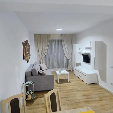 Apartment Luca Brasov